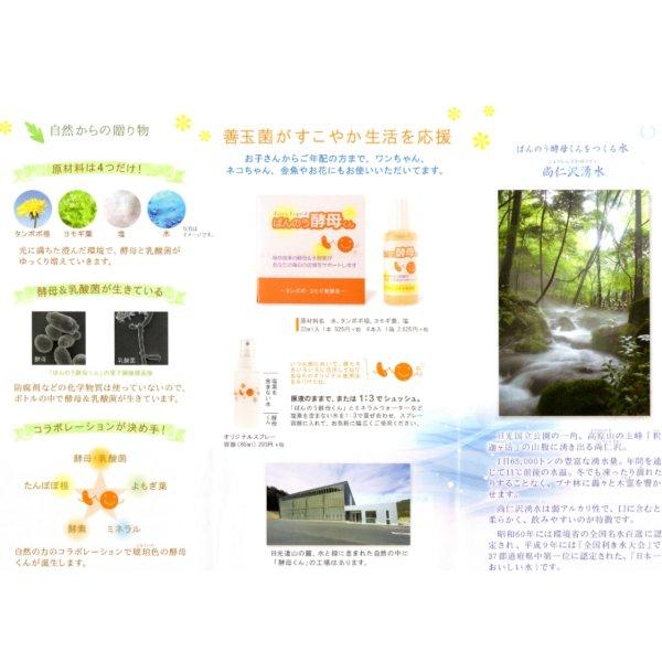 （安心の使用期限長期間あり）ばんのう酵母くん 23ml 12本 アーデンモア 正規品 送料無料 翌営業日発送 |  | 06