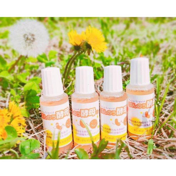 （安心の使用期限長期間あり）ばんのう酵母くん 23ml 4本 アーデンモア 正規品 送料無料 翌営業日発送 |  | 01