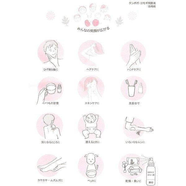 （安心の使用期限長期間あり）ばんのう酵母くん 23ml 6本 アーデンモア 正規品 送料無料 翌営業日発送 |  | 04