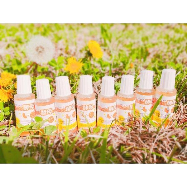 （安心の使用期限長期間あり）ばんのう酵母くん 23ml 8本 アーデンモア 正規品 送料無料 翌営業日発送 |  | 01