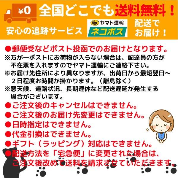 【収納ゴムバンド特典付き】ボブジテン ボードゲーム カードゲーム  送料無料 翌営業日出荷 |  | 04