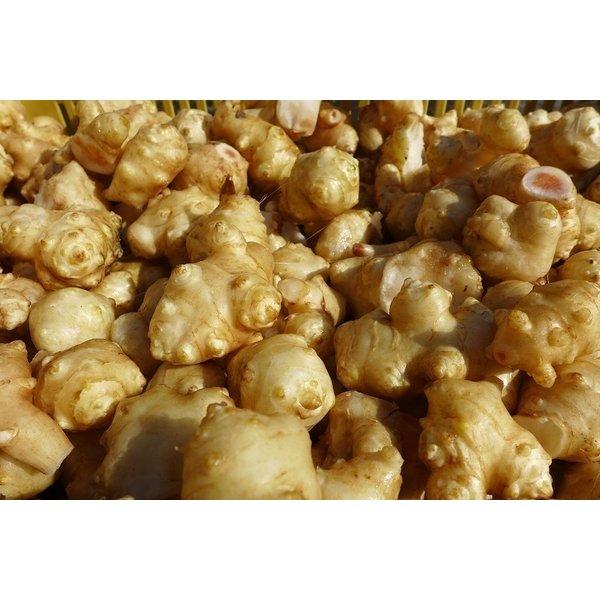 菊芋 イヌリン サプリ 国産 イヌリンのちから 菊芋の粒 180粒 5袋セット 送料無料 翌営業日出荷 |  | 07