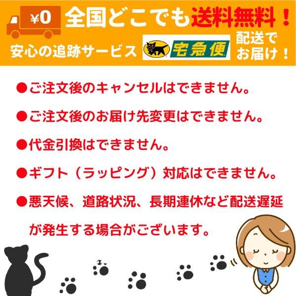 15時までのご注文で当日出荷 古賀製茶 八女茶 ティーパック ティーバッグ 玉露 新茶 5gx50パック ２袋セット 送料無料｜trea-villa｜04