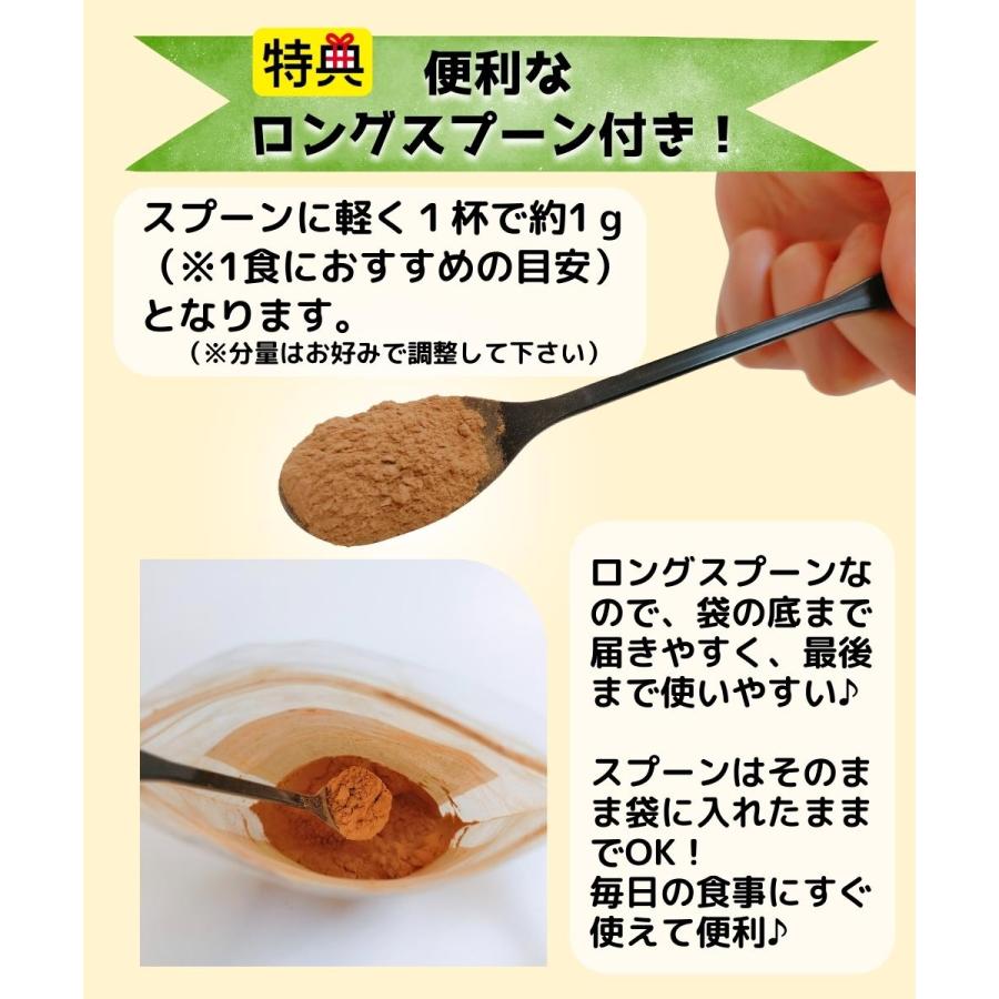 【ロングスプーン付き】国産 北海道 淡路島 100% 玉ねぎの皮 粉末 100g 1個 パウダー 送料無料 翌営業日出荷 リニューアル |  | 02