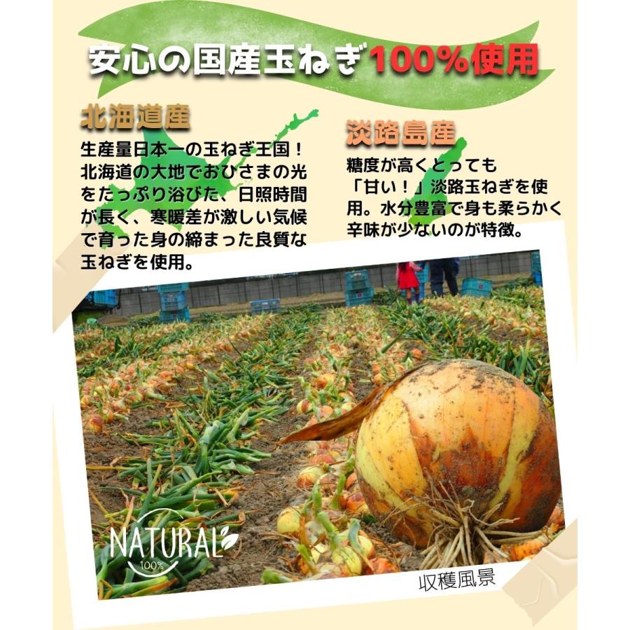 【ロングスプーン付き】国産 北海道 淡路島 100% 玉ねぎの皮 粉末 100g 1個 パウダー 送料無料 翌営業日出荷 リニューアル |  | 03
