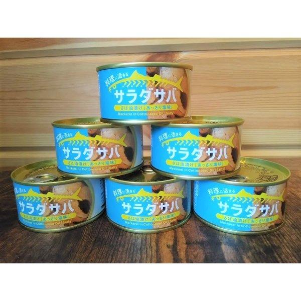 サバ缶 鯖缶 さば缶 サラダサバ 缶詰 170g 6缶セット 木の屋石巻水産 本州全域送料無料 翌営業日出荷 |  | 02