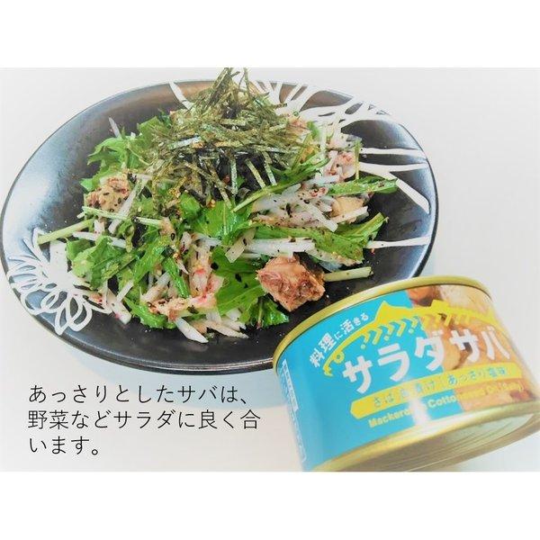 サバ缶 鯖缶 さば缶 サラダサバ 缶詰 170g 6缶セット 木の屋石巻水産 本州全域送料無料 翌営業日出荷 |  | 04