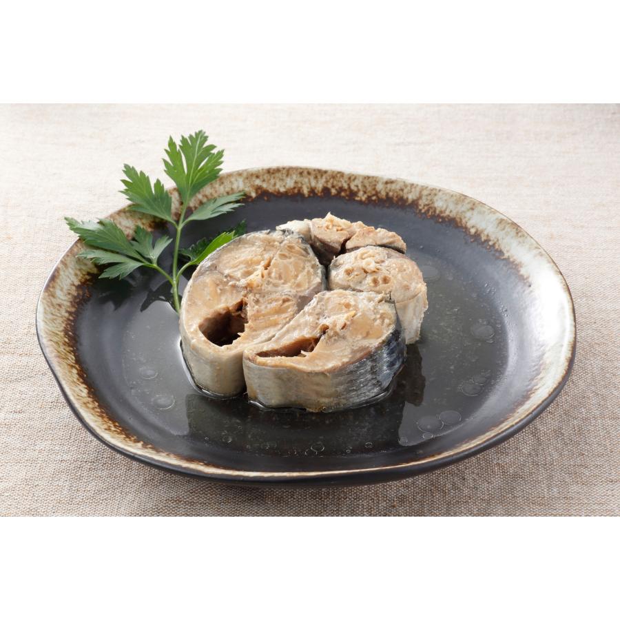 サバ缶 鯖缶 さば缶 サラダサバ 缶詰 170g 6缶セット 木の屋石巻水産 本州全域送料無料 翌営業日出荷 |  | 03