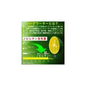 シークワーサー 原液 沖縄産 果汁 100% オキナワシークヮーサージュース100 500ml PET 4本セット オキハム 翌営業日出荷 |  | 06