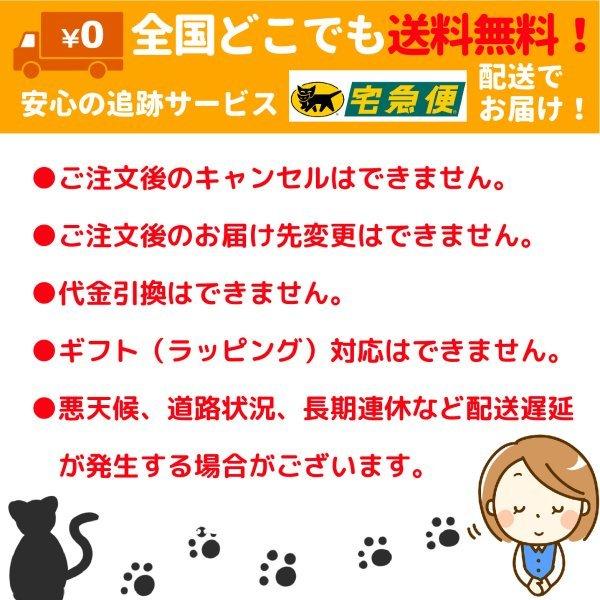 売店 ファウナ Fauna 日本語版 ボードゲーム カードゲーム 動物 おもちゃ ホビージャパン 送料無料 15時までのご注文で当日出荷 Wantannas Go Id