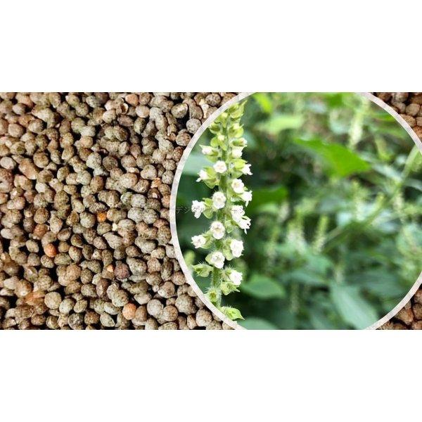 エゴマ えごま ドーナツ 8個セット 送料無料 |  | 03