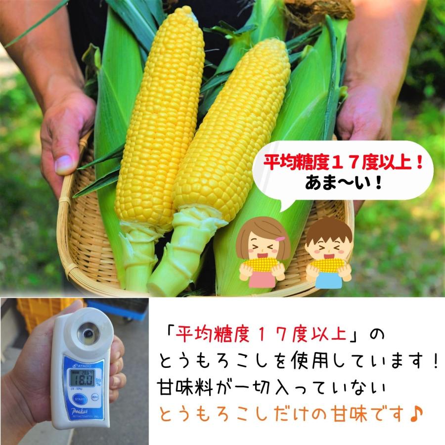 糖度17度以上 無添加 無香料 甘味料不使用 信州高原産（長野県木祖村産） フルーツとうもろこしのコーンスープ 180g 4個セット レトルト ギフト 送料無料 |  | 03