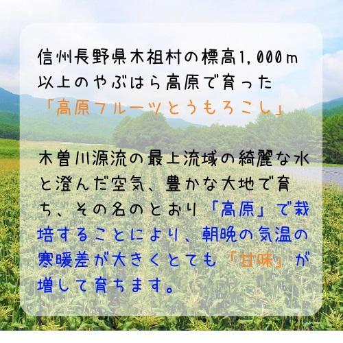 糖度17度以上 無添加 無香料 甘味料不使用 信州高原産（長野県木祖村産） フルーツとうもろこしのコーンスープ 180g 4個セット レトルト ギフト 送料無料 |  | 05