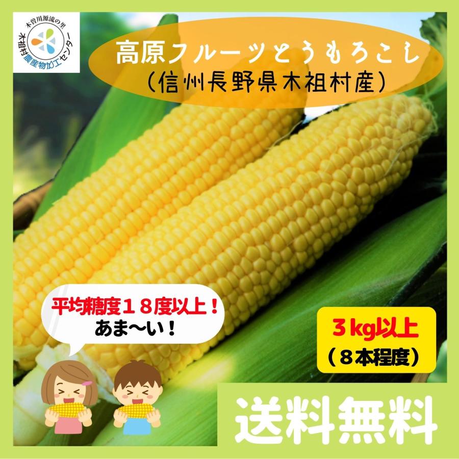 【販売終了】平均糖度約18度以上 信州 長野県 木祖村産 高原フルーツ とうもろこし 3kg以上（8本程度）大物 トウモロコシ ゴールドラッシュ | 