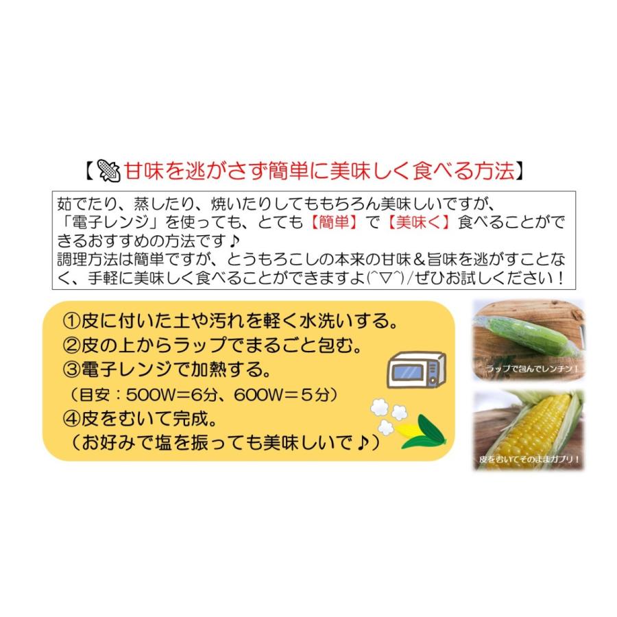 【販売終了】平均糖度約18度以上 信州 長野県 木祖村産 高原フルーツ とうもろこし 3kg以上（8本程度）大物 トウモロコシ ゴールドラッシュ |  | 04