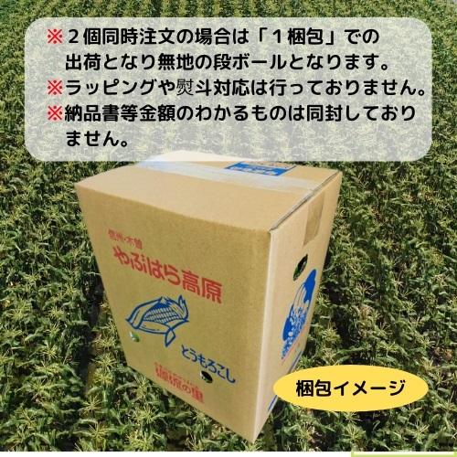 【販売終了】平均糖度約18度以上 信州 長野県 木祖村産 高原フルーツ とうもろこし 3kg以上（8本程度）大物 トウモロコシ ゴールドラッシュ |  | 05