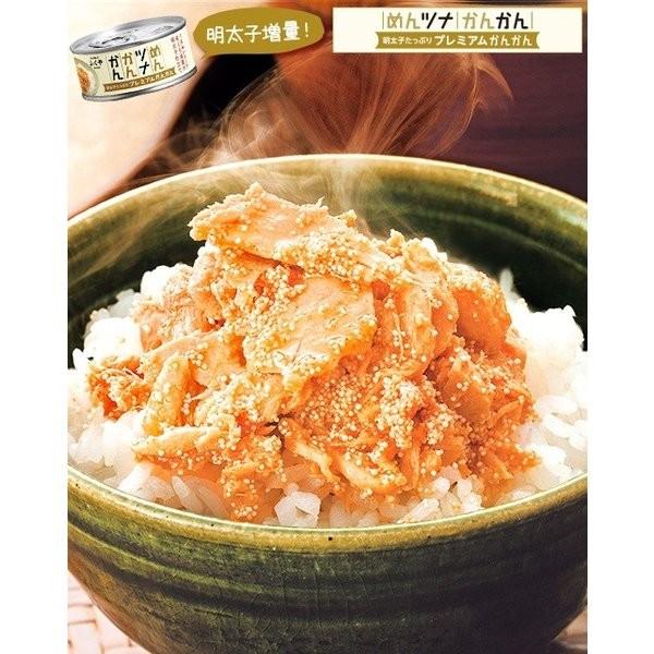 オリジナルレシピ付き めんツナかんかん 食べ比べ3種（プレーン・辛口・プレミアム）6缶セット 送料無料 翌営業日出荷 |  | 04