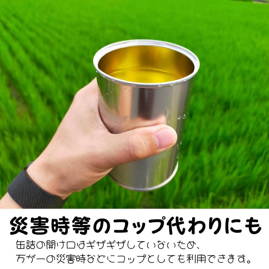 賞味期限「5年」長期保存 「乳酸菌入り」で健康にも良い美味しいパンの缶詰 CAMPAN 6缶セット（ストロベリー味 ブルーベリー味 オレンジ味 各2缶） |  | 08