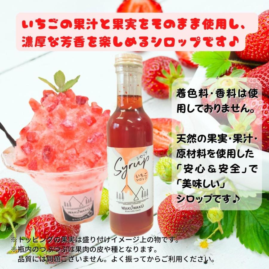 高評価のクリスマスプレゼント かき氷シロップ 無添加 4種 セット いちご りんご ブルーベリー 抹茶 瓶 おしゃれ アレンジ 本州全域送料無料 翌営業日出荷 Aynaelda Com