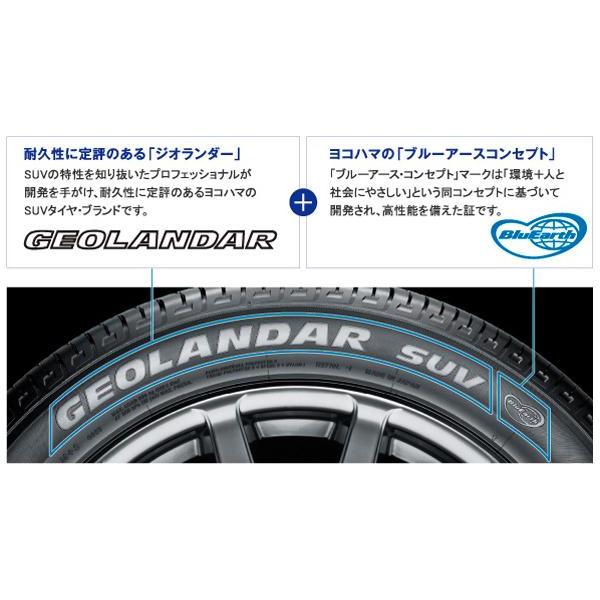 ヨコハマタイヤ（YOKOHAMA TIRE） 在庫処分 【送料無料】 2019〜2020年 