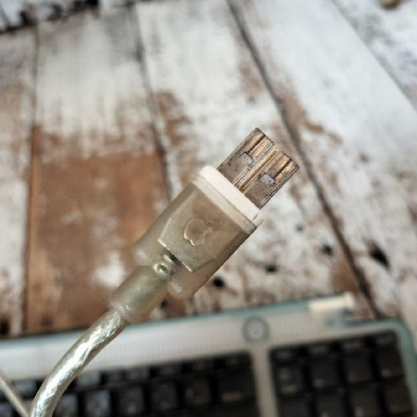 iMac（Apple） ヴィンテージ 動作品 Apple アップル 純正 USB