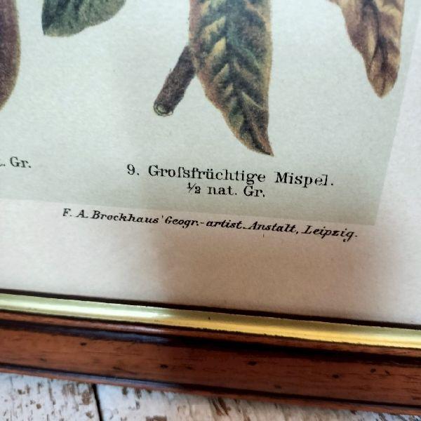 イタリア ヴィンテージ 大判 無垢 木枠 額装 アート パネル 大型 特大 美術 イタリア 70-80s ヴィンテージ 大判 無垢 木枠 額装 アート