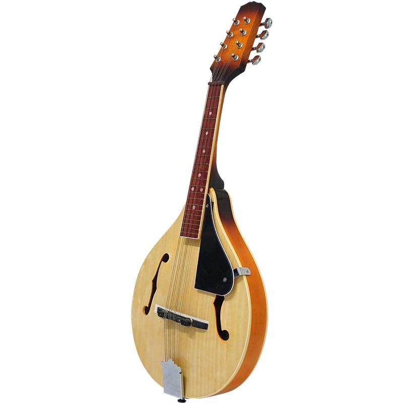 マンドリン Fホールマンドリン Mandolin 初心者用 初めてのマンドリン 入門用 |  | 01