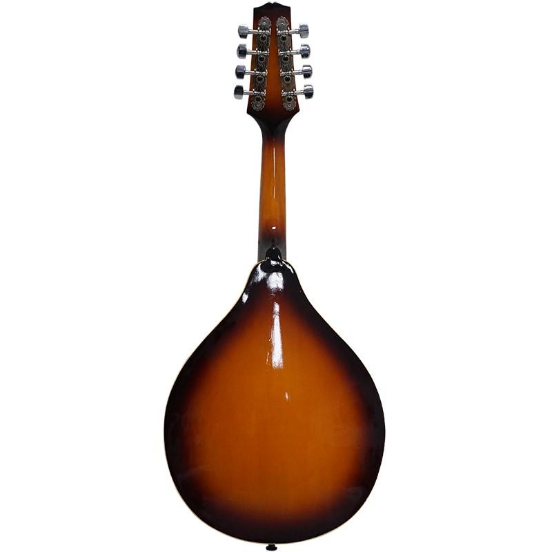 マンドリン Fホールマンドリン Mandolin 初心者用 初めてのマンドリン 入門用 |  | 02