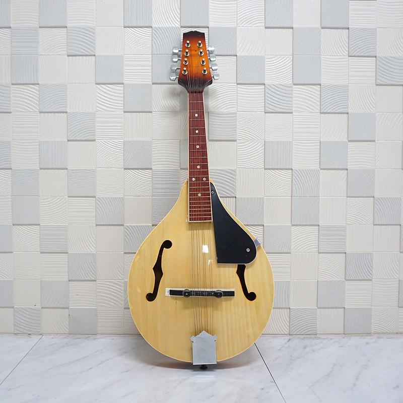 マンドリン Fホールマンドリン Mandolin 初心者用 初めてのマンドリン 入門用 |  | 04