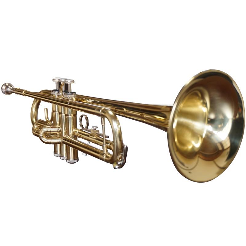 トランペット 初心者入門セット 管楽器 trumpet 入門用 楽器 トランペット 初心者入門セット 管楽器 trumpet 入門用 楽器