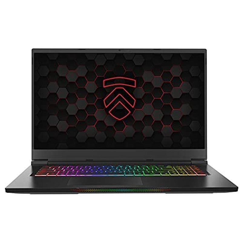 喜ばれる誕生日プレゼント 59 9 Ryzen Amd Laptop Gaming 3080 Rtx 17 3 21 17 Max Eluktronics ノートパソコン Www Solidarite Numerique Fr