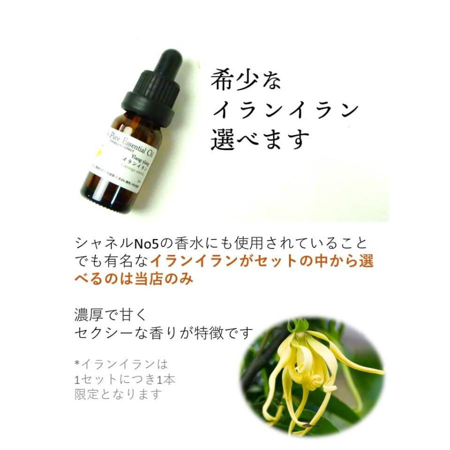 アロマオイル セット 5ml 6本セット スポイト 精油 アロマ  選べる37種類 エッセンシャルオイル｜treasurecollect｜13