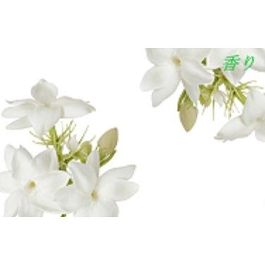 ボニック プレミアムリフトジェル BONIC Premium Lift Gel ボディ