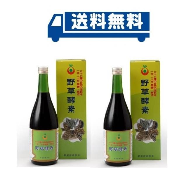 野草酵素 720ml 2本セット | www.mxfactory.fr 野草酵素 720ml 2本セット | www.mxfactory.fr