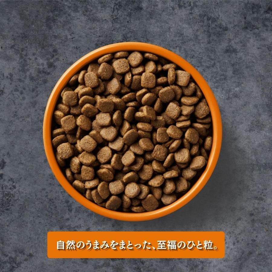 AATU アートゥー チキン ドライ ドッグフード 全犬種 成犬用 10kg_2