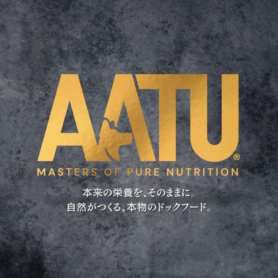 AATU アートゥー ターキー ドライ ドッグフード 全犬種 成犬用 10kg