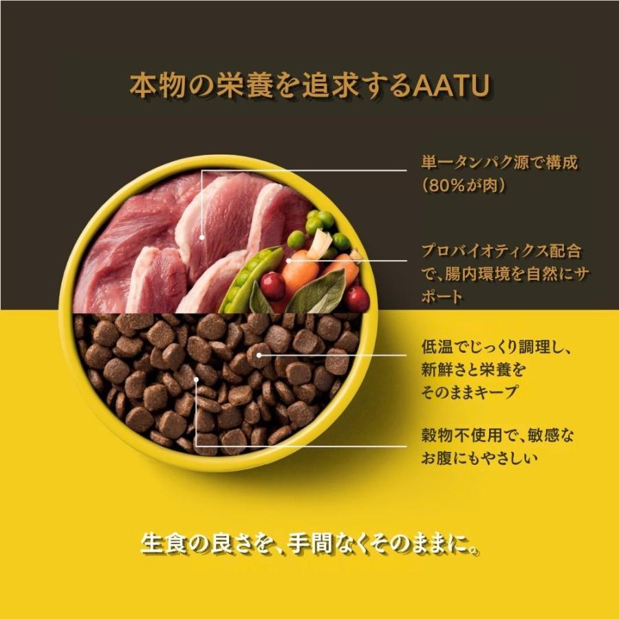 AATU アートゥー ターキー ドライ ドッグフード 全犬種 成犬用 10kg