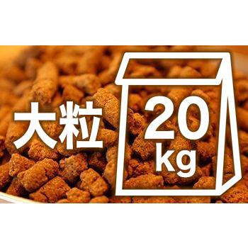 送料無料 国産無添加プレミアムドッグフード「Deli-Fresh」全犬種用