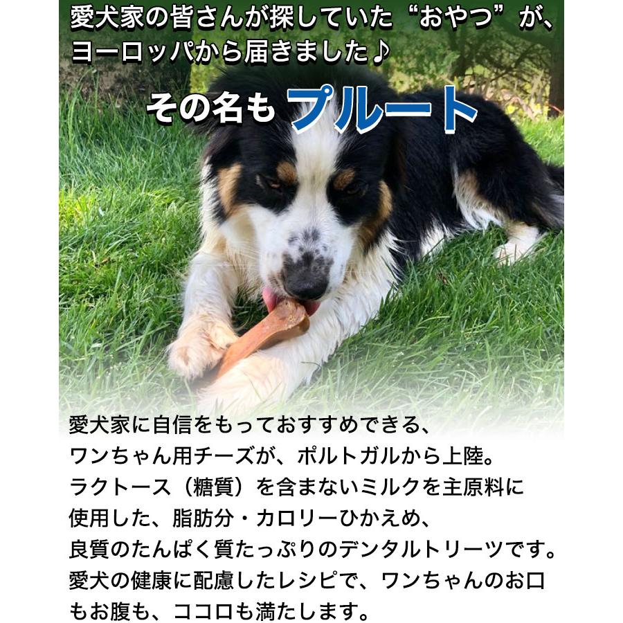 プルート デンタルスティック サイズ:S : Treats Factory - 通販