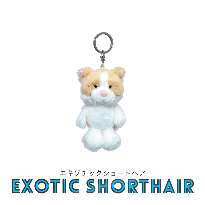 nici（ニキ） NICI（ニキ）キーリング スコティッシュフォールド