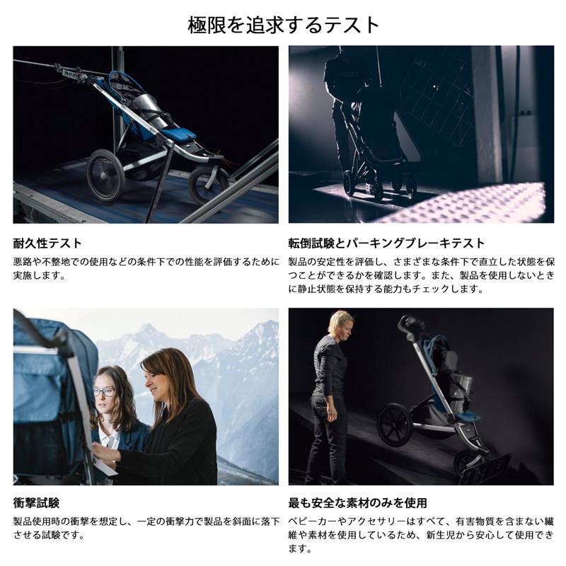 THULE（スーリー） 【正規品】Thule Shine（スーリー・シャイン