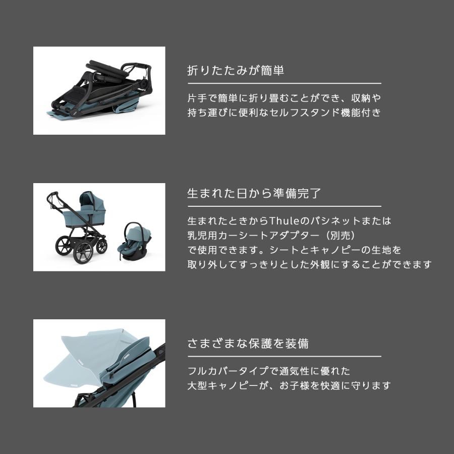 Thule Urban Glide 【正規品】Thule 3（スーリー アーバングライド3