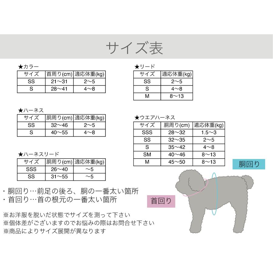 犬 首輪 カラー おしゃれ かわいい(マルチボーダーカラー2Sサイズ)｜tree-general-store｜04