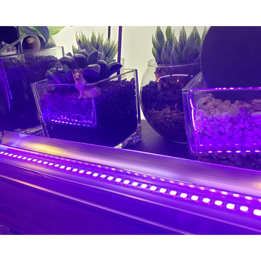 植物育成灯 紫外線ライト UVライト LED UVA LIGHT : 室内園芸