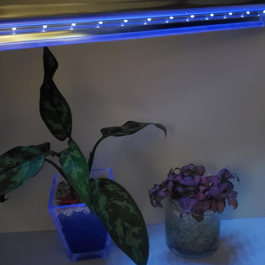 植物育成灯 紫外線 殺菌 殺虫 不快害虫 LED UVB LIGHT |  | 05