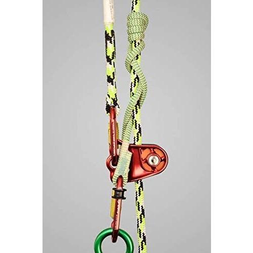 DMM Hitch Climber Eccentric Kit 8mm×76cm ヒッチクライマー エキセントリック プーリー ツリーケア