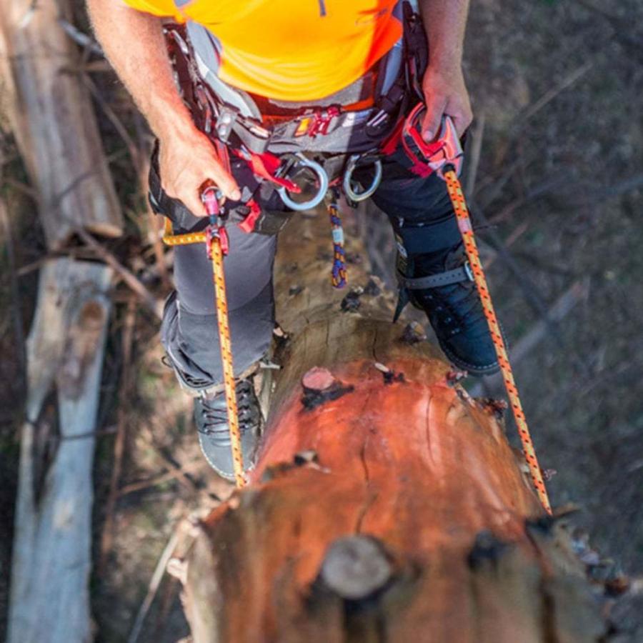 ART Positioner 2 ポジショナー スイベル ツリーケア ハーネス