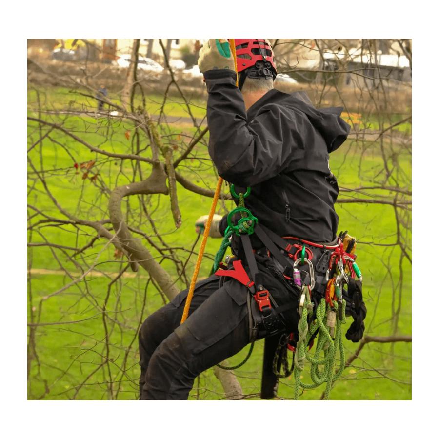 DMM KINISI MAX Small : TREE GEAR Yahoo!ショップ - 通販 DMM KINISI MAX Small : TREE GEAR Yahoo!ショップ - 通販