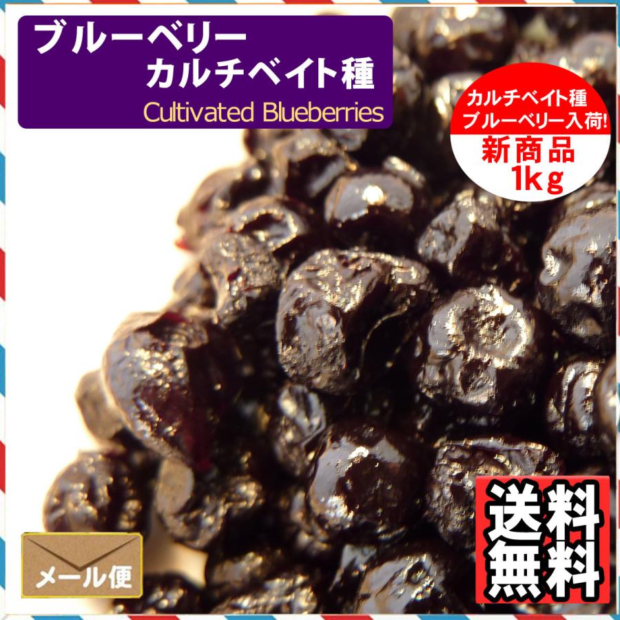 ブルーベリー（カルチベイト種）1kg【送料無料】 : ツリーマーク