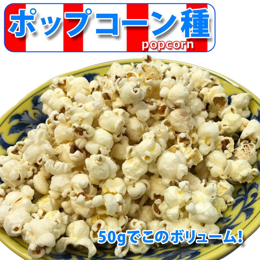 ポップコーン 豆 500g 爆裂種 バタフライタイプ 送料無料 メール便｜treemark2｜02